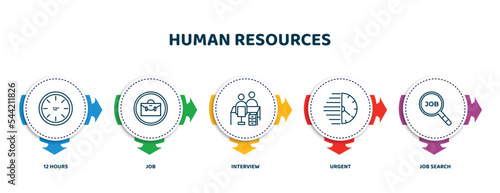 editable thin line icons with infographic template. infographic for human resources concept. included 12 hours, job, interview, urgent, job search icons.