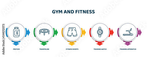 editable thin line icons with infographic template. infographic for gym and fitness concept. included protein, trampoline, fitness shorts, training watch, training apparatus icons.