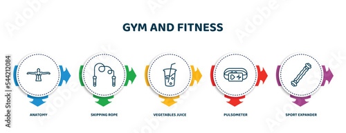 editable thin line icons with infographic template. infographic for gym and fitness concept. included anatomy, skipping rope, vegetables juice, pulsometer, sport expander icons.