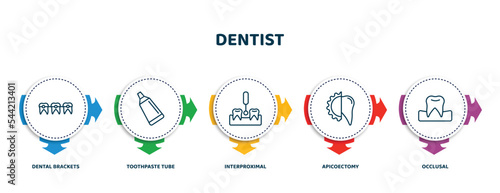 editable thin line icons with infographic template. infographic for dentist concept. included dental brackets, toothpaste tube, interproximal, apicoectomy, occlusal icons.