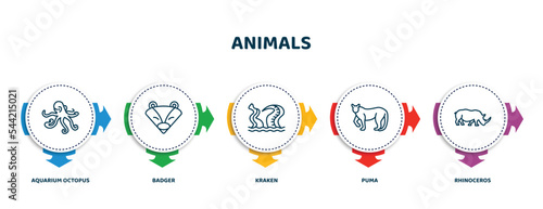 editable thin line icons with infographic template. infographic for animals concept. included aquarium octopus, badger, kraken, puma, rhinoceros icons.