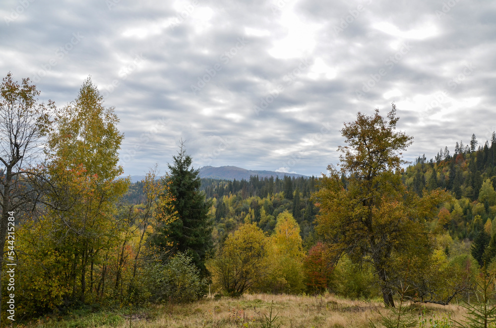 Autumn landscape with colorful trees and mountains. Ukrainian Carpathians in the fall