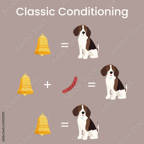Classic Conditioning Pavlov's Dog Experiment vector illustration diagram