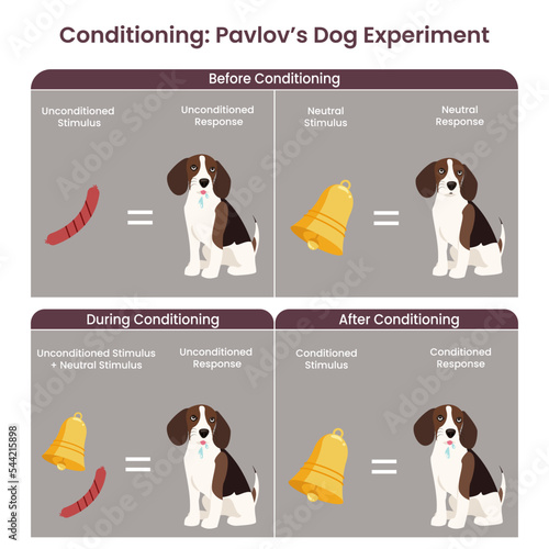 Classic Conditioning Pavlov's Dog Experiment vector illustration diagram