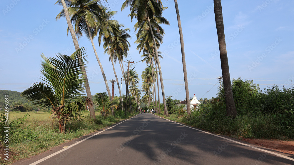 Goa, India 19th October 2022: 4k drone shots of Dear Zindagi Raod known as the Parra coconut tree road, in North Goa. Situated near Mapusa- Calangute road. St. Anne's Church.  Goa's Instagram Spot