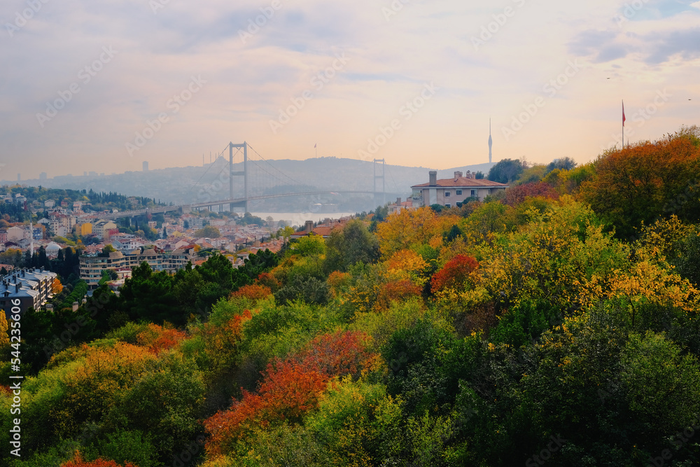 autumn in the istanbul city
