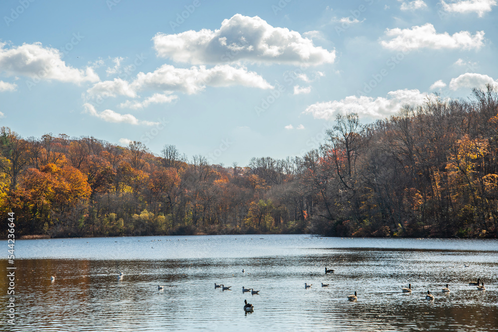 lake in autumn lake in autumn