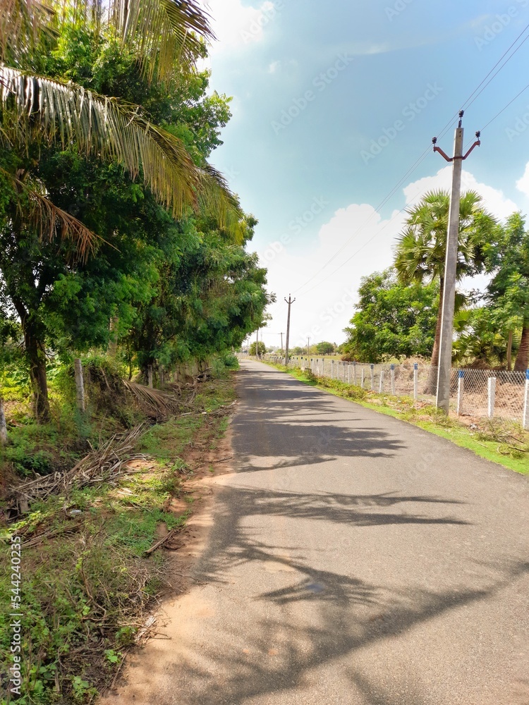 path in the park