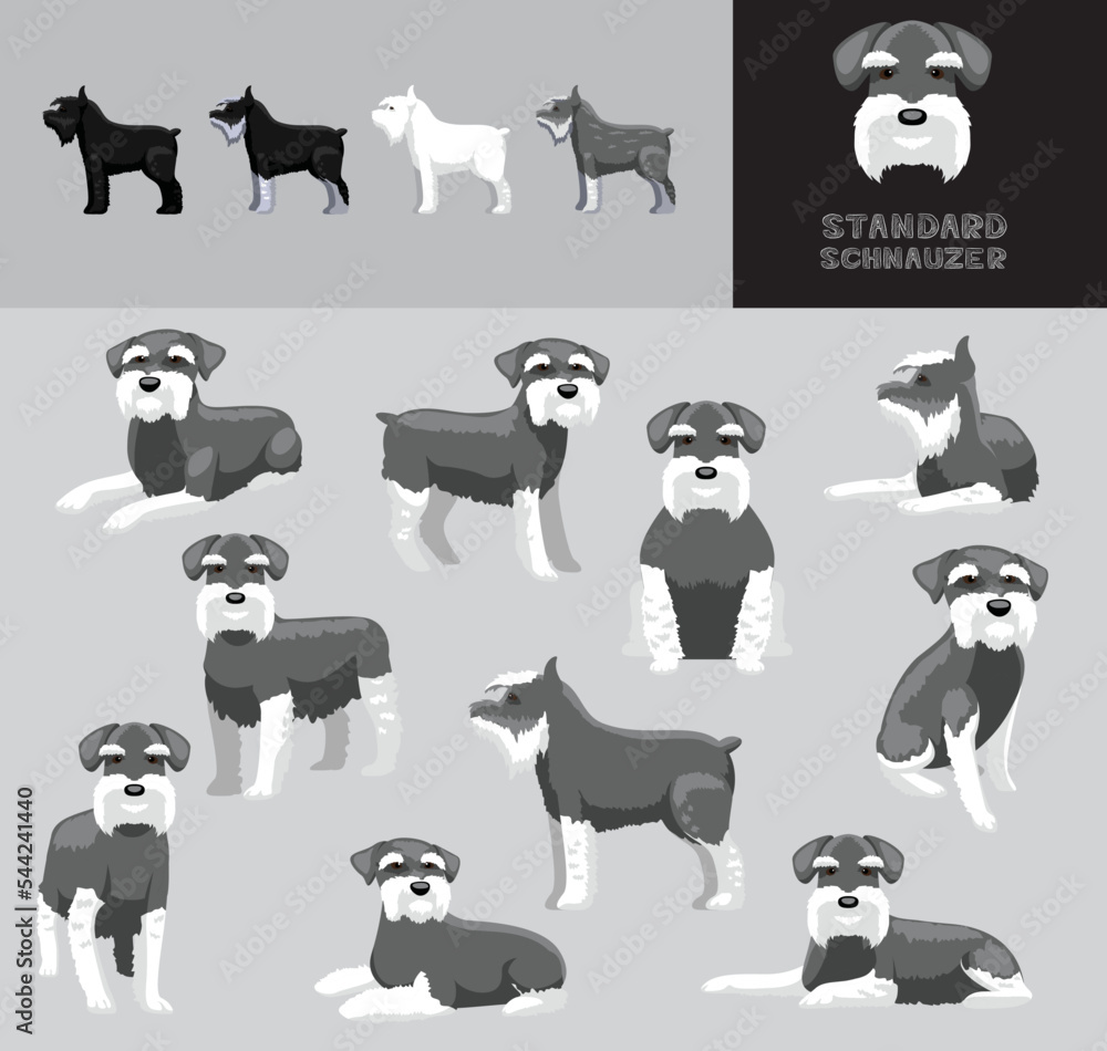 Obraz premium Dog Standard Schnauzer Grey Coat Cartoon Vector Illustration Color Variation Set