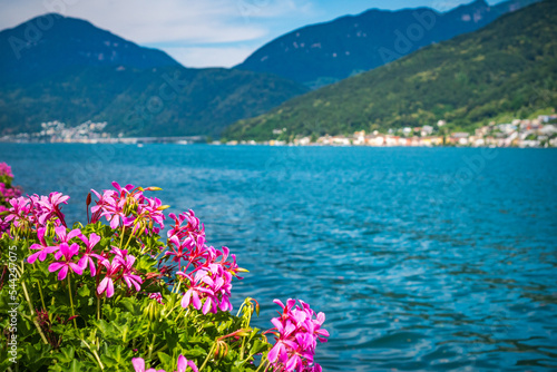 Beautiful panoramic view of Lake Lugano and the green Swiss Alps in the background on a sunny summer day. Canton of Ticino, Switzerland.