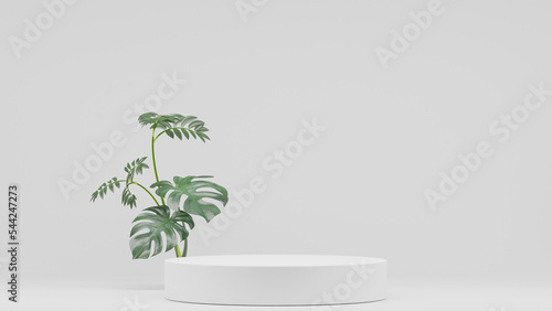 Monstera plants decoration and Empty podium Blank product shelf standing backdrop. 3D rendering.