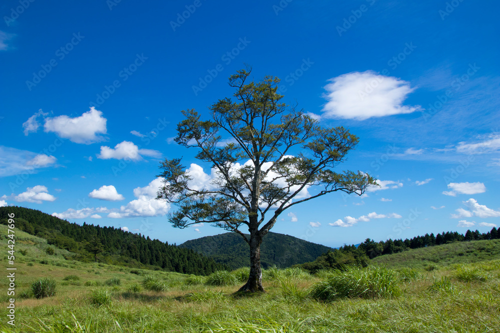 Obraz premium 自然