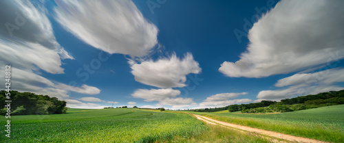 panorama of a green summer field on a sunny day and clouds on blue sky