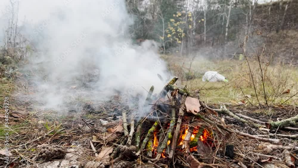 Bright Blazing Bonfire with Burning Firewood in the Forest Bright Blazing Bonfire with Burning Firewood in the Forest