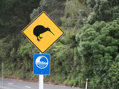 Two road signs on a New Zealand road.One warns to look out for kiwi's with a silhouetted bird symbol. The other states a tsunami evacuation route