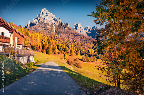 Exciting autumn view of Canali valley, Piereni location, Province of Trento, Italy, Europe. Empty country road in Dolomite Alps. Beauty of countryside concept background. photo