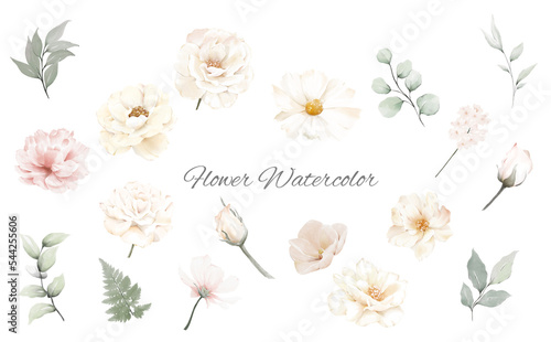 Set of white and pink  flowers watercolor element on white background. Wedding invitation flora. 