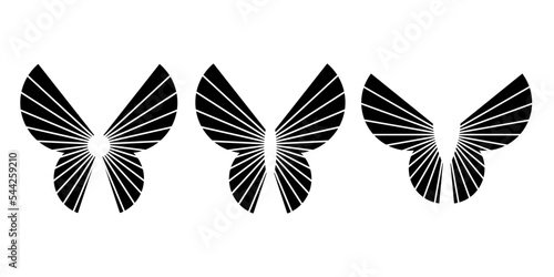 Strict stylish butterfly silhouette