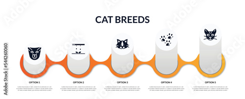 Foto set of cat breeds filled icons with infographic template