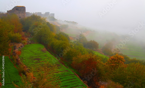 Hevsel gardens in Diyarbakır are on the UNESCO Cultural Heritage list and meet the fruit and vegetable needs of the city.The fog over Hevsel looks like a thin veil in spring and autumn. photo