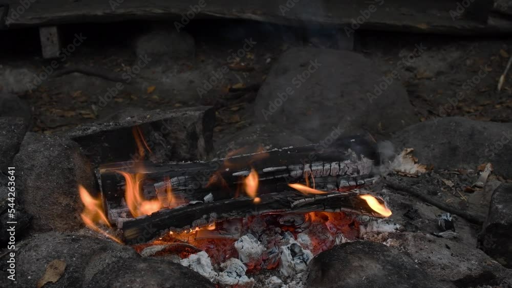 Open bonfire on hiking area fire pit. Safety place for camp fire in forest. Relax peaceful campfire burning on firepit. Static no move or people footage. Open bonfire on hiking area fire pit. Safety place for camp fire in forest. Relax peaceful campfire burning on firepit. Static no move or people footage.