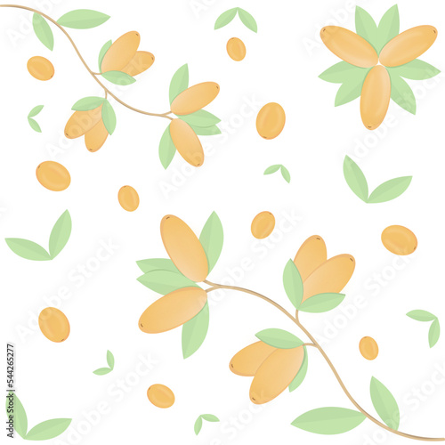 Pattern with sea buckthorn on white background. Vector illustration for decoration, card.