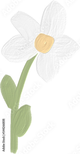 beautiful minimal oil paint hand drawn white chamomile or daisy flower