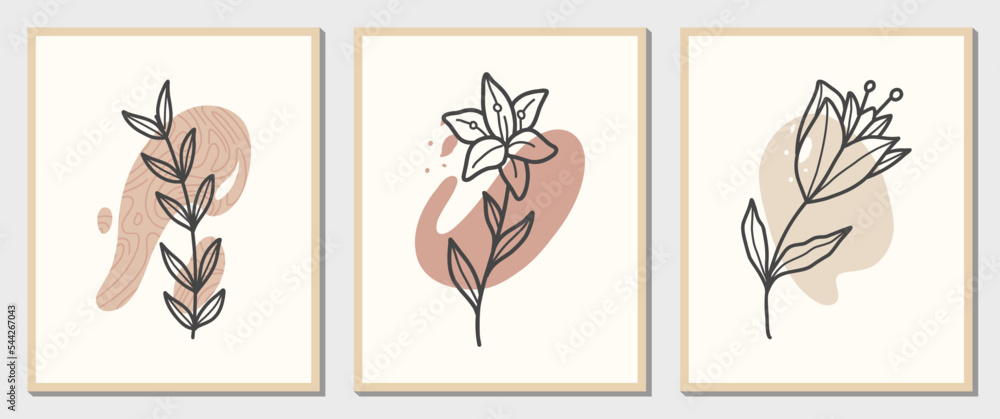 Set of flowers Line art with abstract shape in a modern trendy style. Vector for Beauty Concept, t-Shirt Print, postcard, poster ,wallpaper