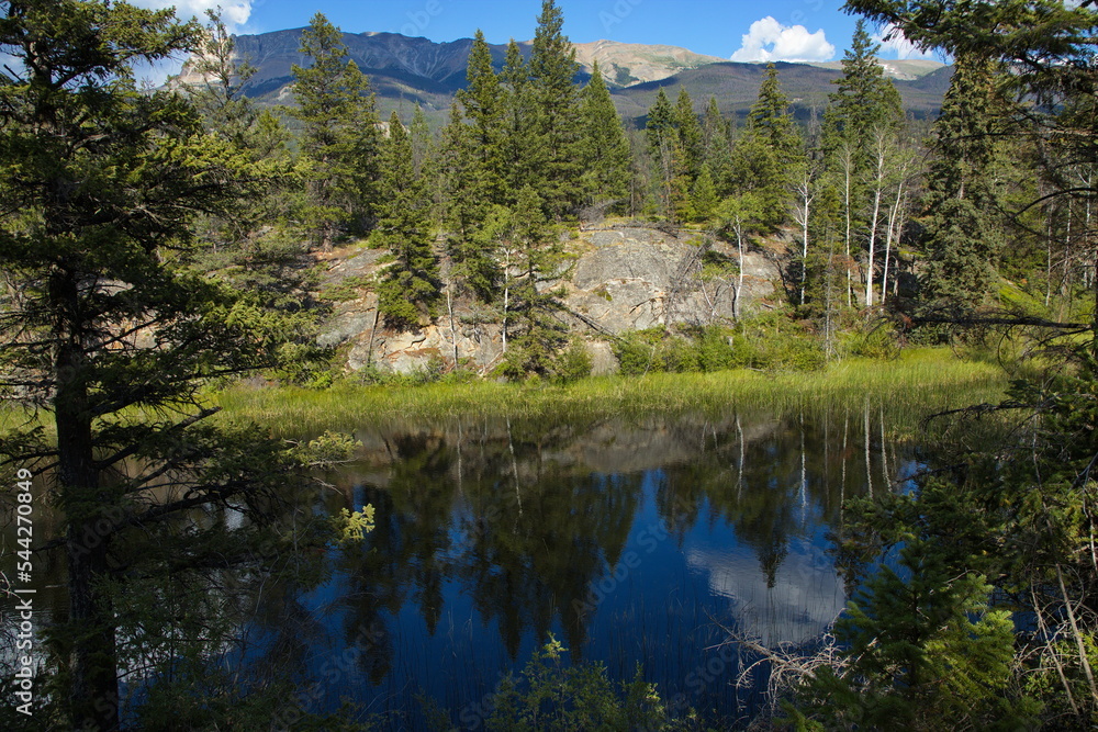 Small lake at Five Lakes Trail in Jasper National Park,Alberta,Canada,North America
Small lake at Five Lakes Trail in Jasper National Park,Alberta,Canada,North America