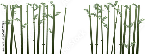 Lots of bamboo. Tropical reed beds. Jungle and rainforest of southern latitudes. Cartoon fun style. Flat design. Isolated on white background. Vector