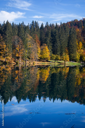 Laghi di Fusine (Fusine lakes) landscape