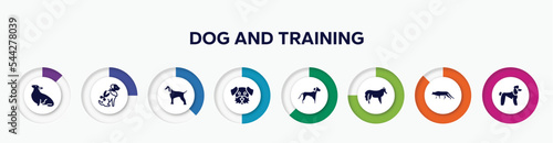 infographic element with dog and training filled icons. included corgi, grooming pet, afghan hound, dog moustache, springer spaniel, shetland sheepdog, snowshoe cat, poodle vector.