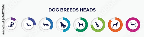 infographic element with dog breeds heads filled icons. included scorpio, dog lying, bernese mountain dog, pug, airedale, pointer boxer, german shorthaired pointer vector.