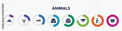 infographic element with animals filled icons. included cradle of humankind, necklace, sled, beaver, gift shop, monkeys, gardener, koala vector.