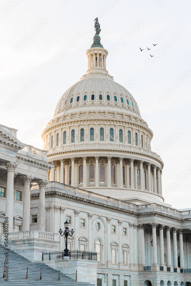 Fototapeta premium United States Capitol in Washington, D.C., USA.