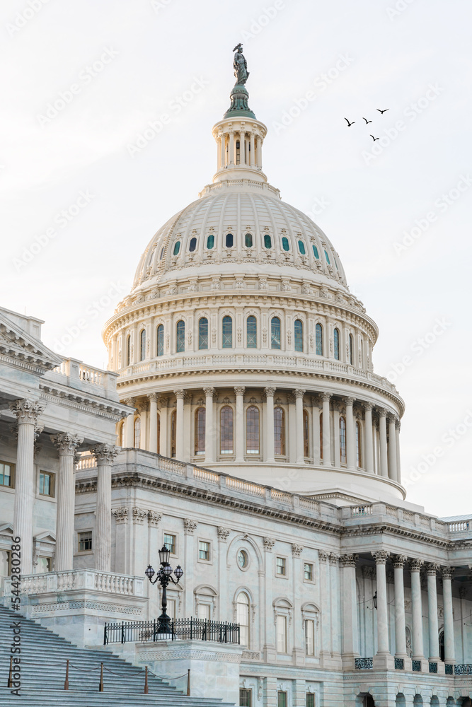 United States Capitol in Washington, D.C., USA.