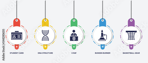infographic element template with sports filled icons such as student card, dna structure, x ray, bunsen burner, basketball gear vector.