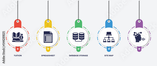 infographic element template with seo filled icons such as tuition, spreadsheet, database storage, site map, vector.