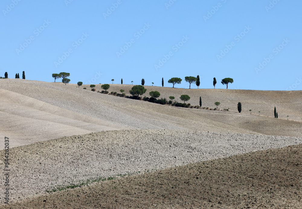 Obraz premium The rural landscape near San Quirico in Tuscany. Italy