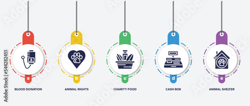 infographic element template with charity filled icons such as blood donation, animal rights, charity food, cash box, animal shelter vector.