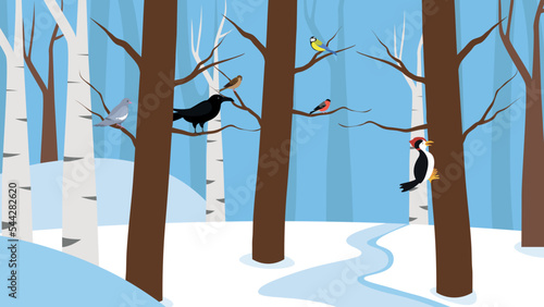 Birds on trees in winter forest
