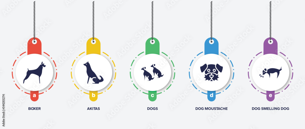 infographic element template with dog and training filled icons such as boxer, akitas, dogs, dog moustache, dog smelling vector. infographic element template with dog and training filled icons such as boxer, akitas, dogs, dog moustache, dog smelling vector.