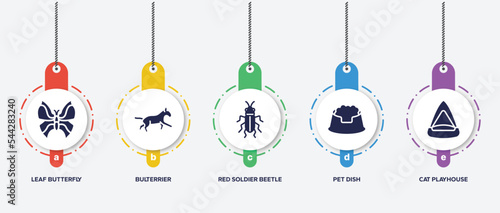 infographic element template with pet lovers filled icons such as leaf butterfly, bulterrier, red soldier beetle, pet dish, cat playhouse vector.