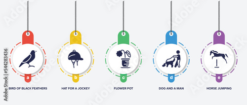 infographic element template with horses filled icons such as bird of black feathers, hat for a jockey, flower pot, dog and a man, horse jumping vector.