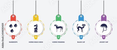 infographic element template with horses filled icons such as raindrops, horse head chess piece, horse standing, black cat, jockey hat vector.
