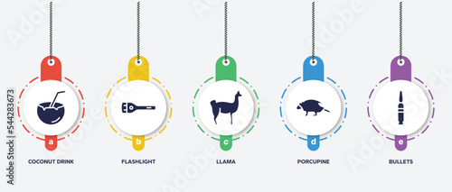 infographic element template with hunting filled icons such as coconut drink, flashlight, llama, porcupine, bullets vector.