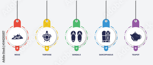 infographic element template with desert filled icons such as moss, tortoise, sandals, sarcophagus, teapot vector.