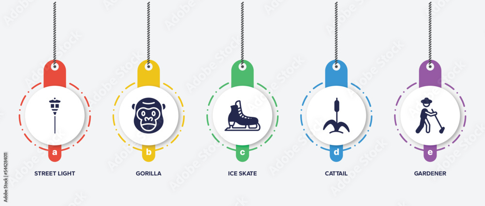infographic element template with in the zoo filled icons such as street light, gorilla, ice skate, cattail, gardener vector. infographic element template with in the zoo filled icons such as street light, gorilla, ice skate, cattail, gardener vector.