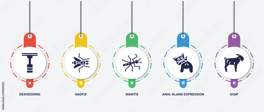 infographic element template with animals filled icons such as deshedding, gadfly, mantis, anal gland expression, goat vector. infographic element template with animals filled icons such as deshedding, gadfly, mantis, anal gland expression, goat vector.