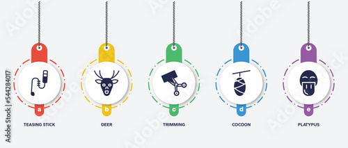infographic element template with animals filled icons such as teasing stick, deer, trimming, cocoon, platypus vector.